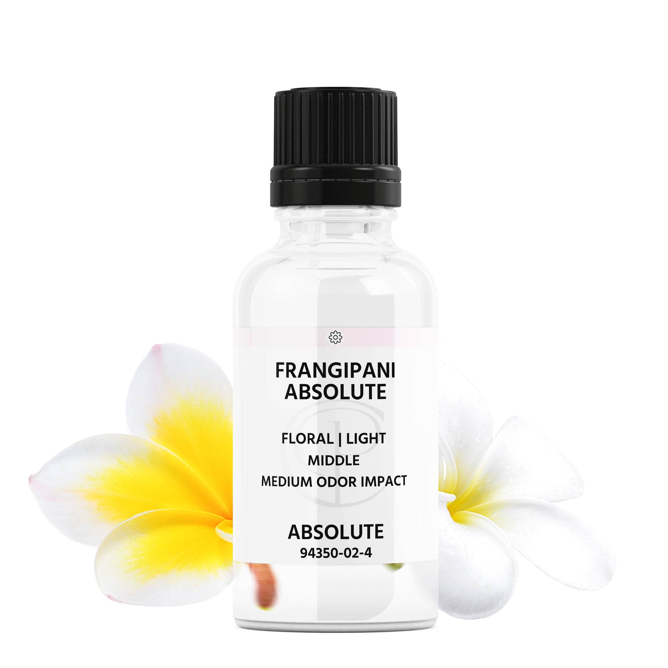 Frangipani Absolute